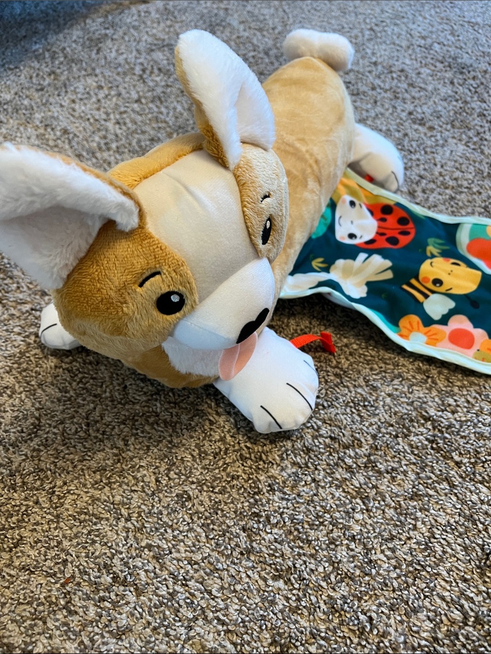 Tummy Time Plush Corgi Comfort Toy - Picture 2 of 2